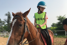 小小騎士