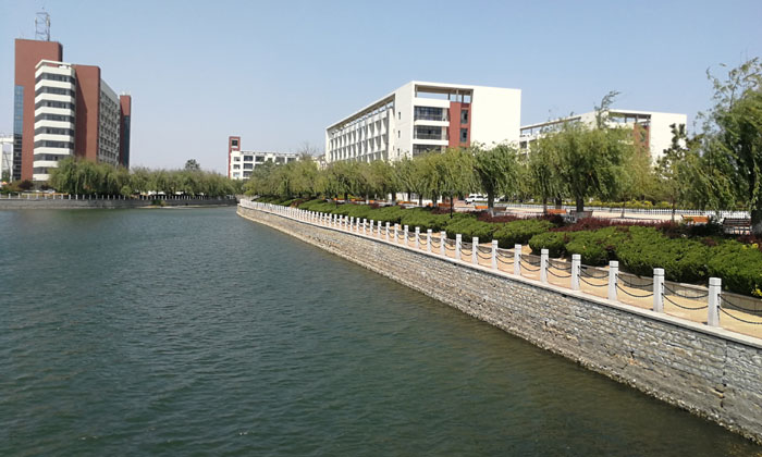 山東夏令營(yíng)營(yíng)地環(huán)境