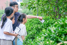 山東地區(qū)的夏令營都有哪些？