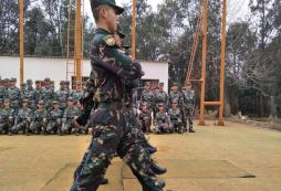 暑假應(yīng)該讓孩子參加山東軍事訓(xùn)練營(yíng)嗎？