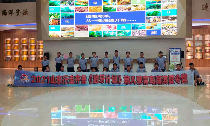 山東夏令營怎么樣