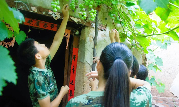 那里的夏令營(yíng)比較好