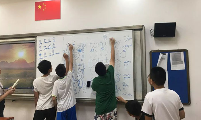 上海夏令營多少錢