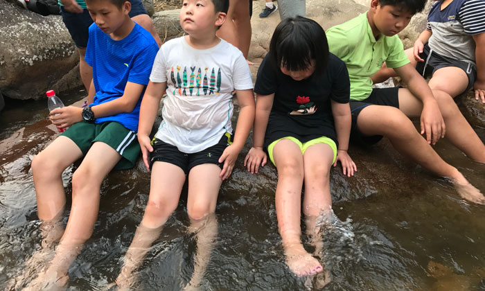 上海比較好的夏令營