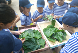 上海心智夏令營(yíng)培養(yǎng)孩子良好的品德
