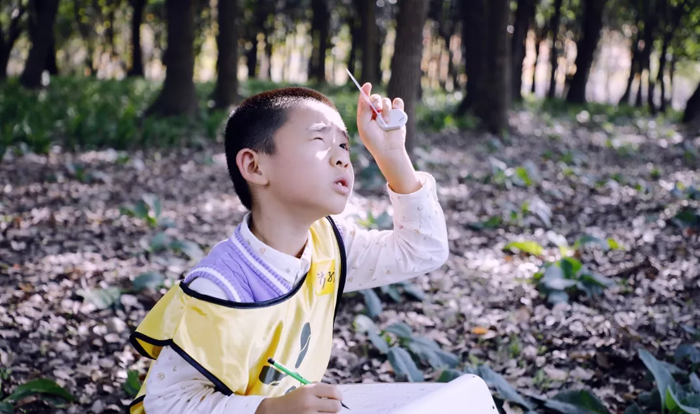 上海中小學(xué)夏令營