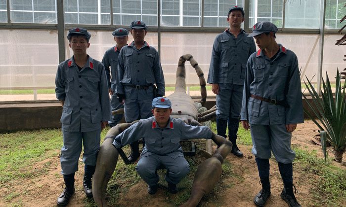 山西軍事夏令營.gif