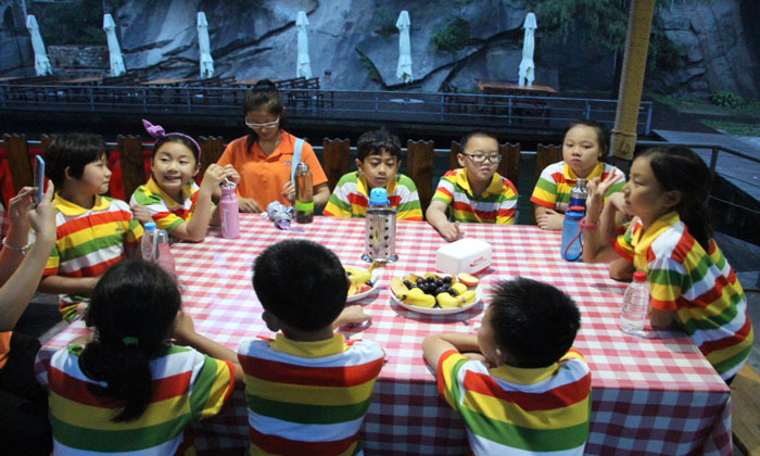 小學(xué)生可不可以參加山西夏令營？