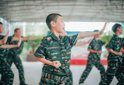 打軍體拳