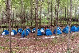 參加野外生存夏令營(yíng)對(duì)中學(xué)生有哪些收獲