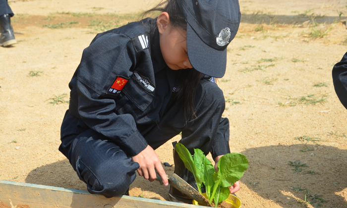 深圳假期集訓(xùn)營入營攻略.jpg