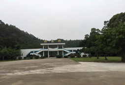深圳有二十天的減肥夏令營嗎