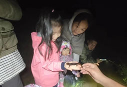 參加深圳夏令營(yíng)需要多少錢
