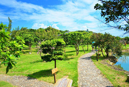 深圳楊梅坑拓展訓(xùn)練基地