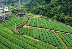 深圳東部華僑城拓展訓(xùn)練基地