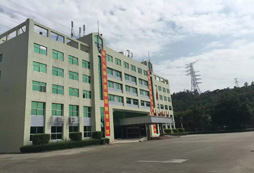 深圳小學(xué)生暑期夏令營(yíng)怎么安排？