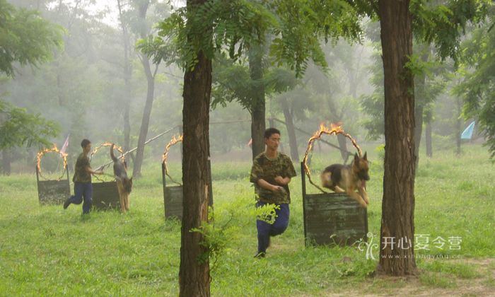 未標(biāo)題-2.jpg