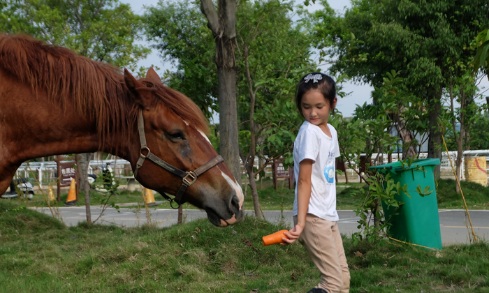 700 16喂馬.jpg