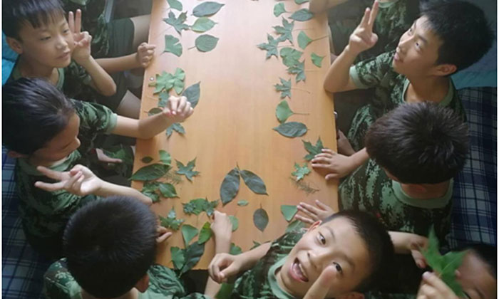 石家莊軍事夏令營有哪些收獲？.jpg