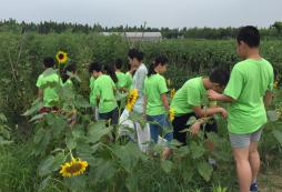 石家莊戶外拓展夏令營五要素有哪些？