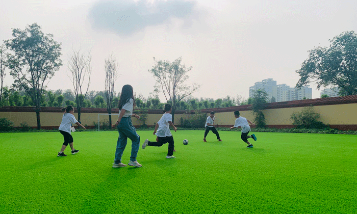 十堰體育夏令營(yíng)怎么樣？.gif