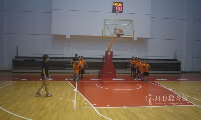 233.jpg
