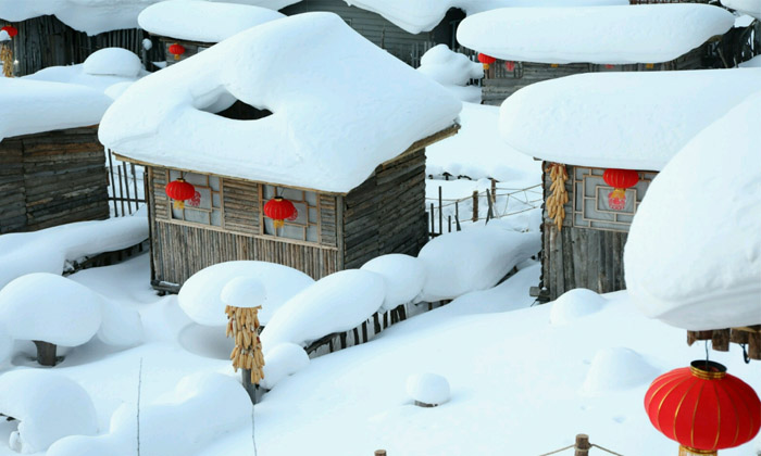 假期研學(xué)夏令營帶你行走在大東北.jpg