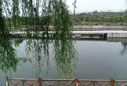 四川廣漢七彩河畔拓展基地