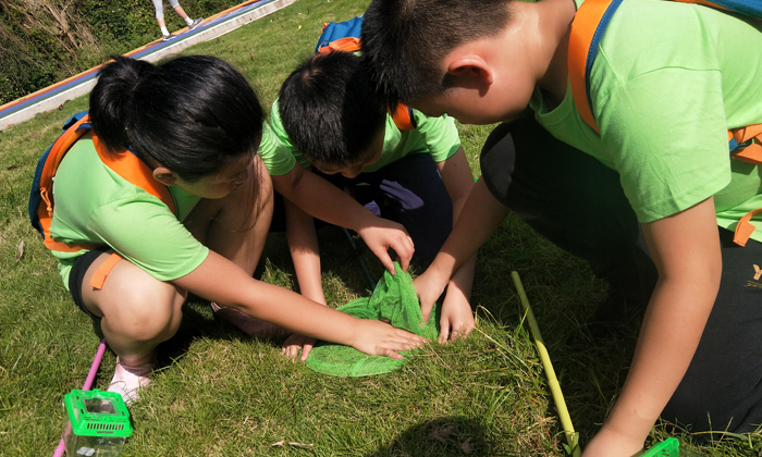 梓潼周邊有哪些夏令營