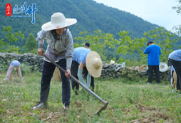 四川中學生夏令營哪里有？熱門活動營地介紹