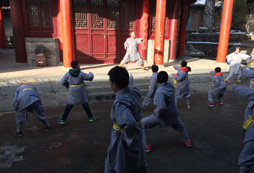 習(xí)禮明義、拜師習(xí)武