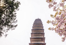 河南少林夏令營(yíng)有什么作用？