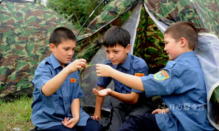 我們軍營中的小帳篷