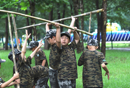 齊心協(xié)力共建庇護所