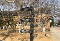 孩子青春期叛逆可以參加帆船帆板夏令營(yíng)嗎？