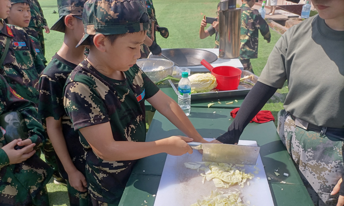 體驗(yàn)切菜
