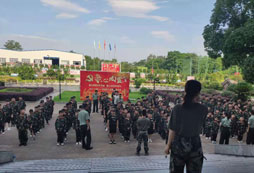 最頂端