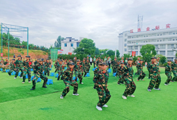 軍體拳