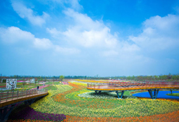 蘇州太湖園博園拓展基地