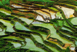 臺(tái)北游學(xué)夏令營(yíng)如何保障營(yíng)員的安全？
