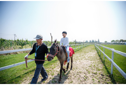 為什么臺北戶外夏令營備受關(guān)注