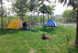 臺北口才夏令營能改變孩子的哪些問題