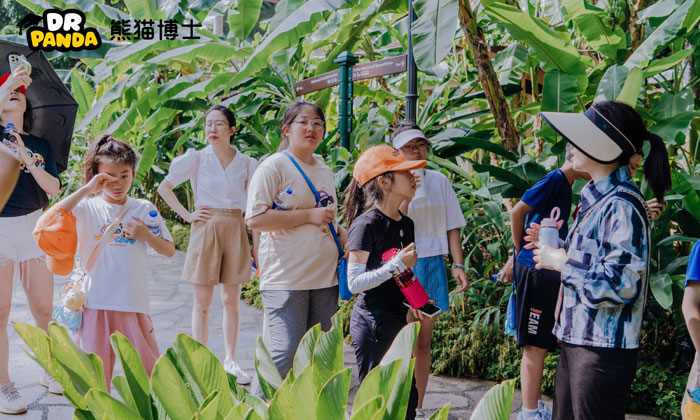好未來熊貓博士夏令營