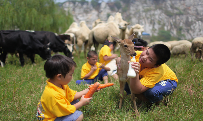 探索發(fā)現(xiàn)夏令營(yíng)報(bào)名多少錢(qián) 