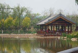 天津津北森林公園拓展基地