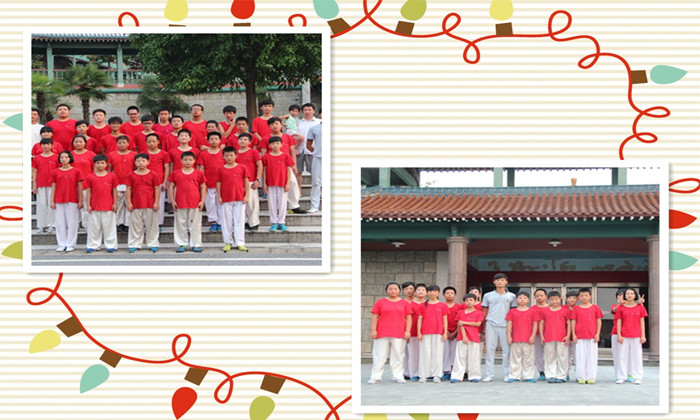 青少年武術(shù)運動夏令營