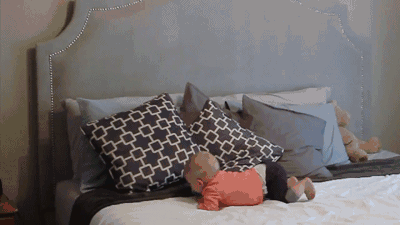 0 (4).gif