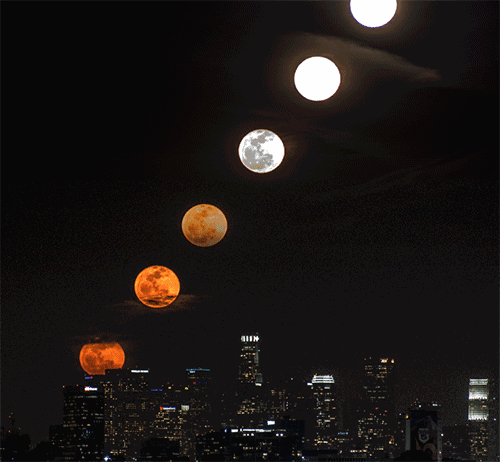 8404467d04ae4d14b8c8e9ec751f81f7.gif 8404467d04ae4d14b8c8e9ec751f81f7.gif