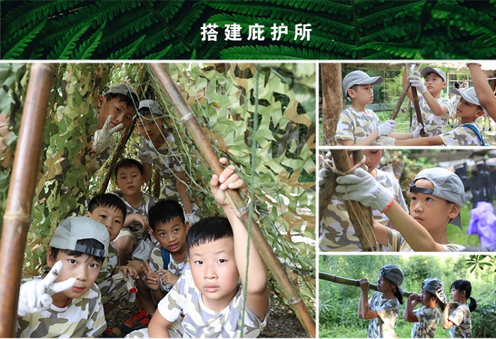 528a3c697cb924a1e708496ad2a6c56c.jpg