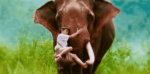 33095a3de26c421c8e34530067fbfd88_noop.gif